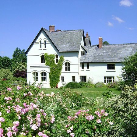 The Forest Country House B&B Newtown  Esterno foto