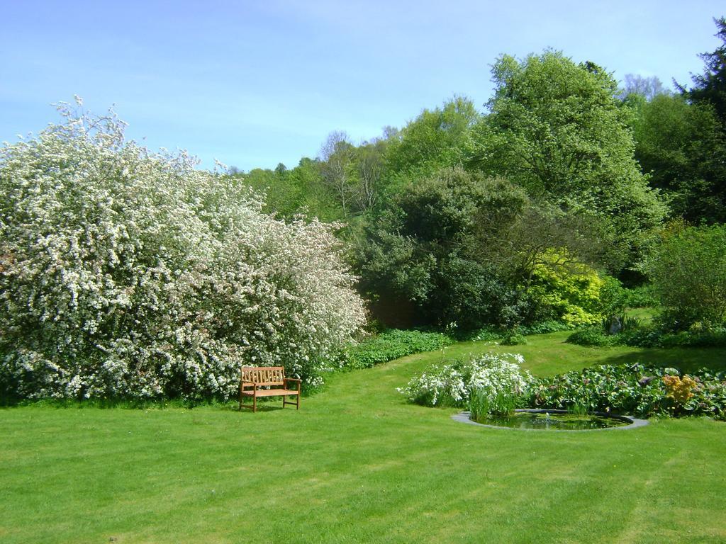 The Forest Country House B&B Newtown  Esterno foto