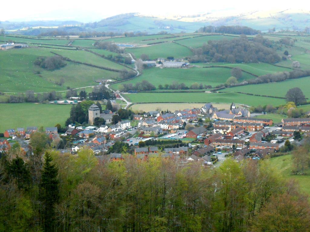 The Forest Country House B&B Newtown  Esterno foto