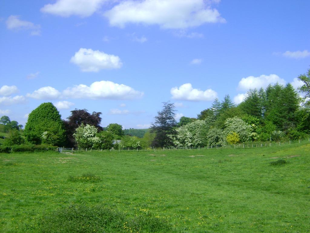 The Forest Country House B&B Newtown  Esterno foto