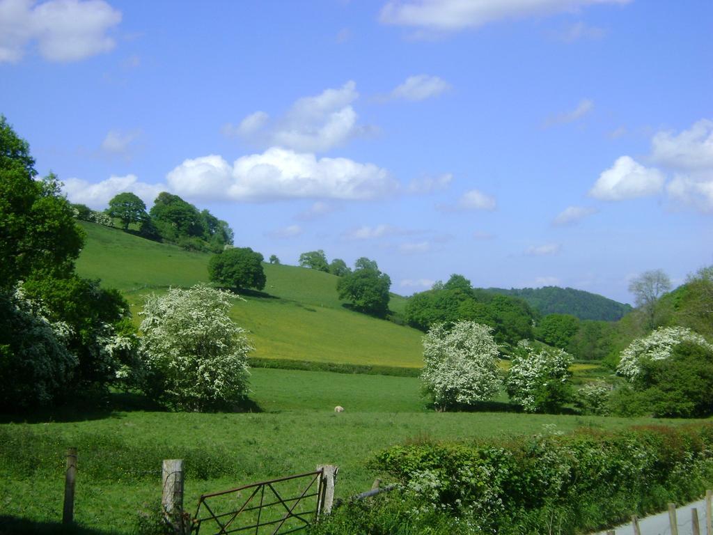 The Forest Country House B&B Newtown  Esterno foto