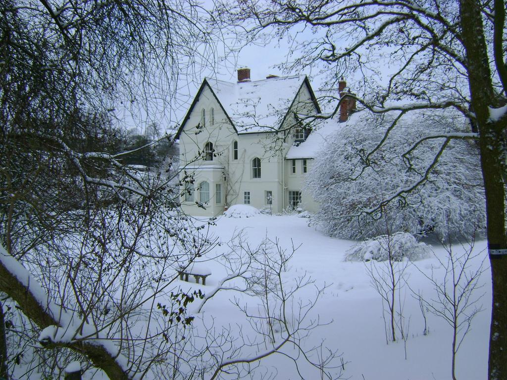 The Forest Country House B&B Newtown  Esterno foto