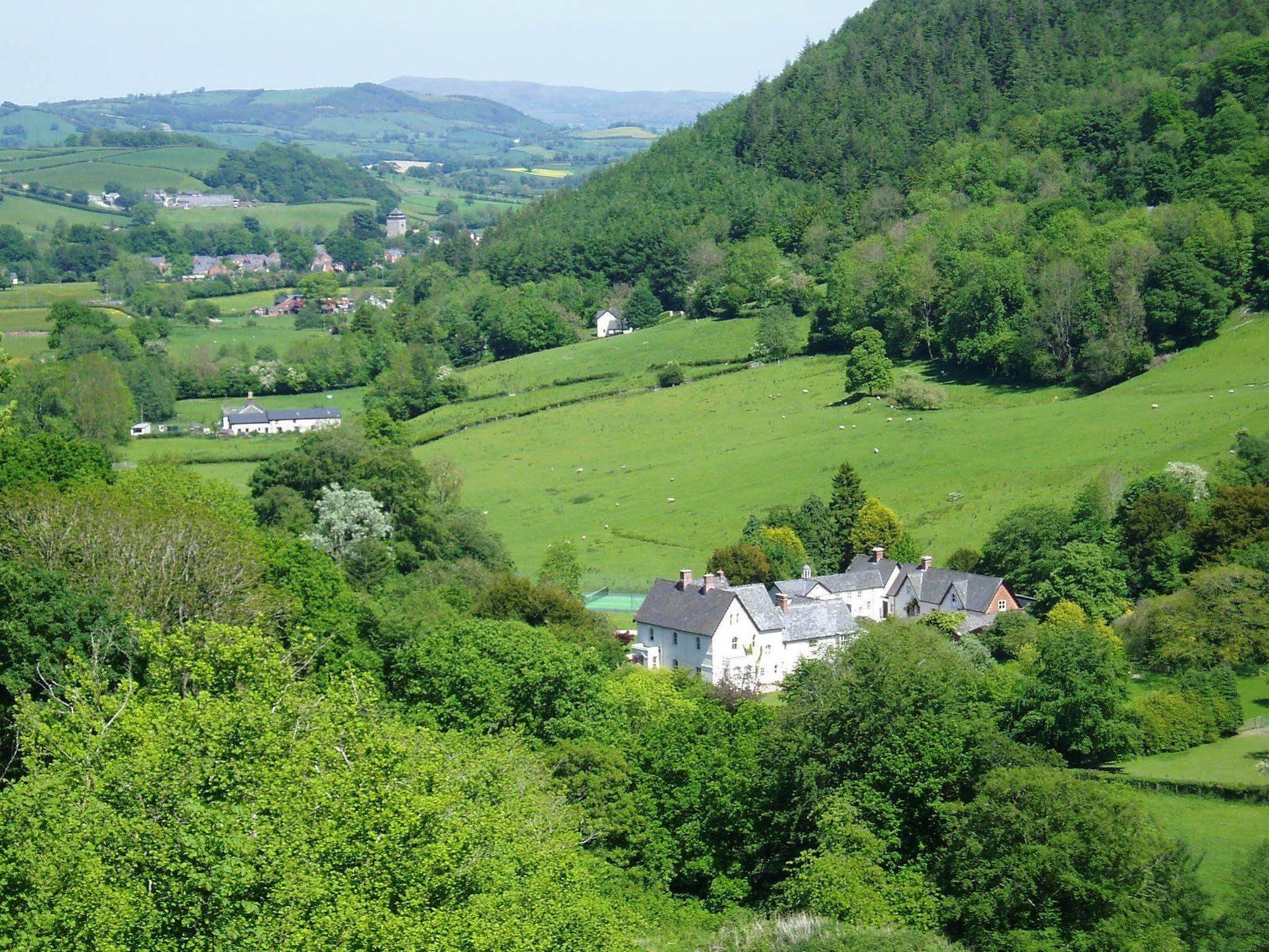 The Forest Country House B&B Newtown  Esterno foto