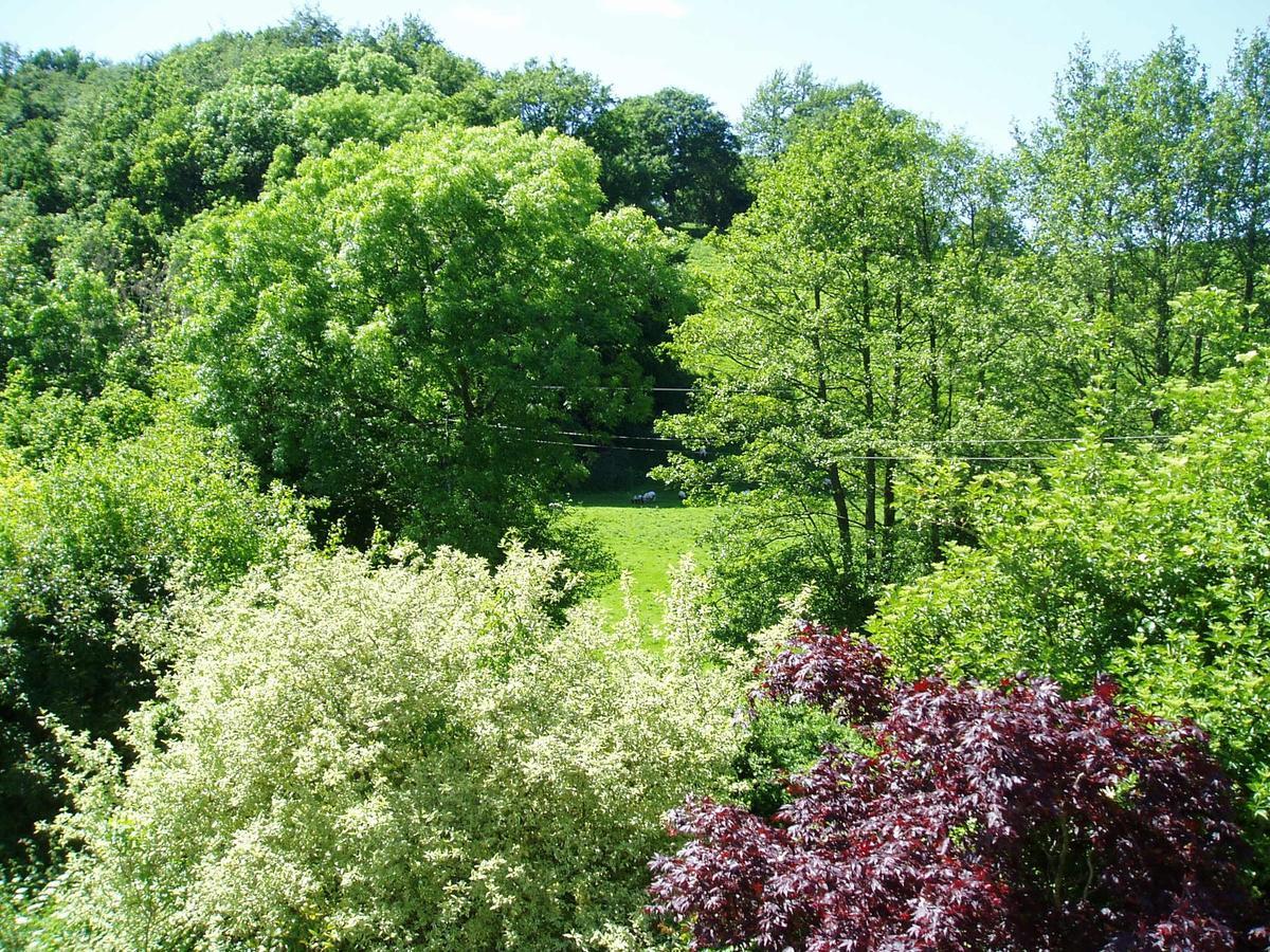 The Forest Country House B&B Newtown  Esterno foto
