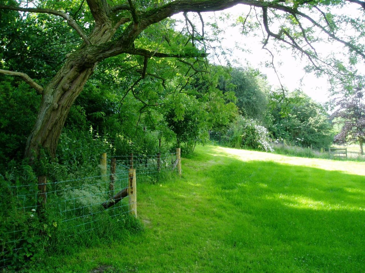 The Forest Country House B&B Newtown  Esterno foto